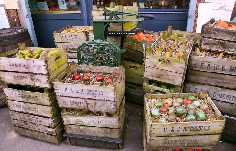  Les bonnes pratiques du marchandisage des fruits et légumes Bio