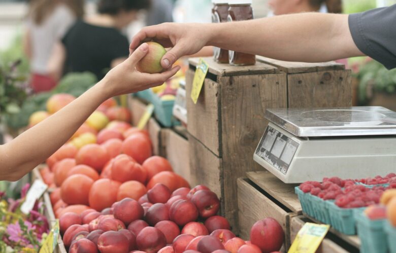  Techniques de vente du rayon fruits et légumes (renforcement)