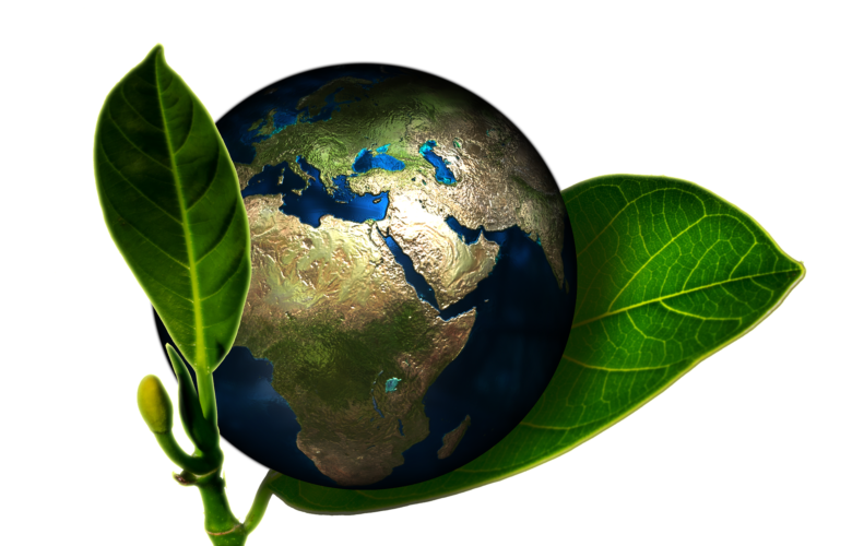 Construire une démarche RSE pour son point de vente Bio